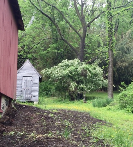 Screen Shot 2018-05-19 at 1.49.22 PM